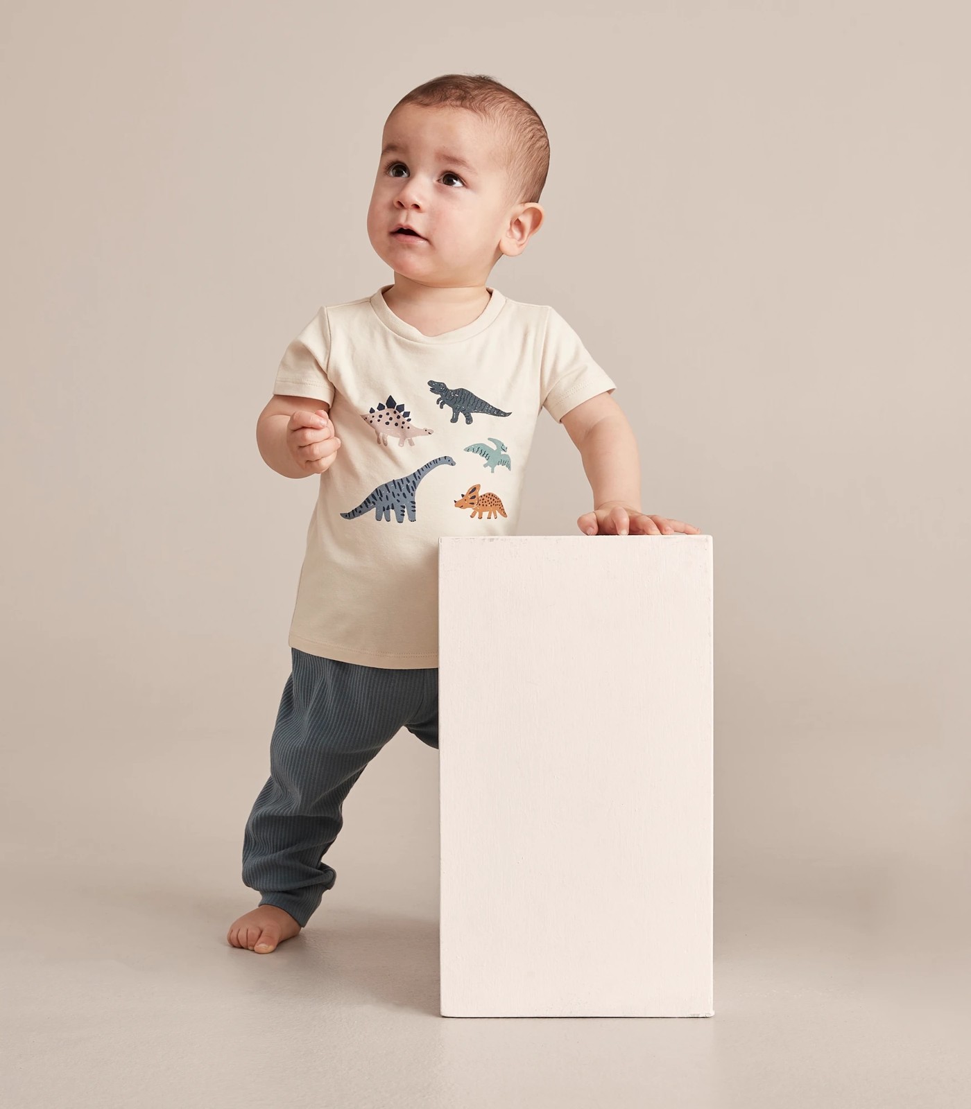 Baby Organic Cotton Placement T-shirt - Dinosaurs 4 of 6