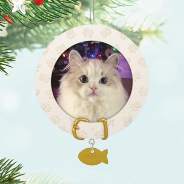 Furry Friend Keepsake - Hallmark