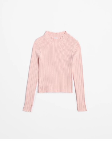Long Sleeve Rib Mock Neck Knit