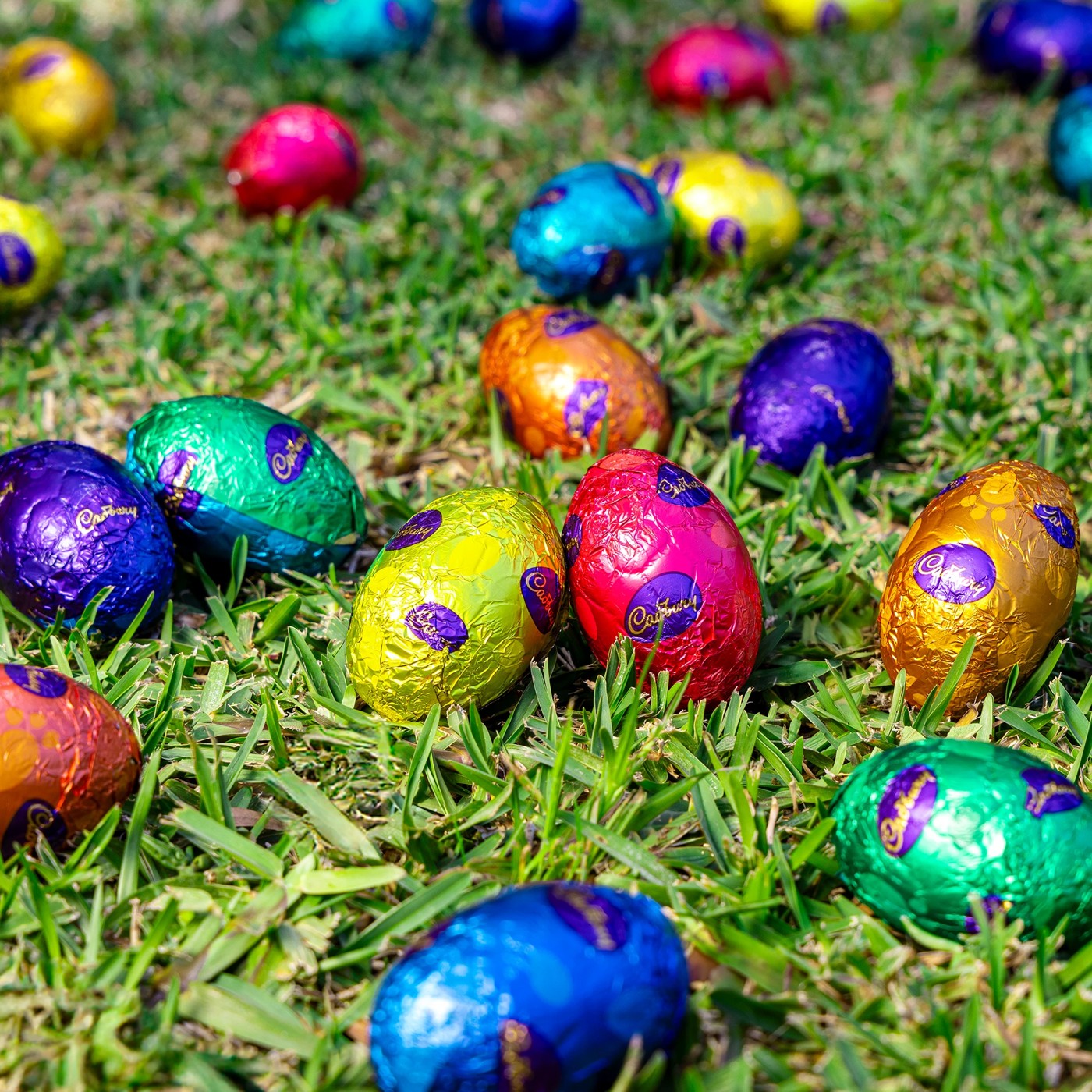 Cadbury Dairy Milk 15 Pack Hollow Easter Eggs 255g 4 of 5