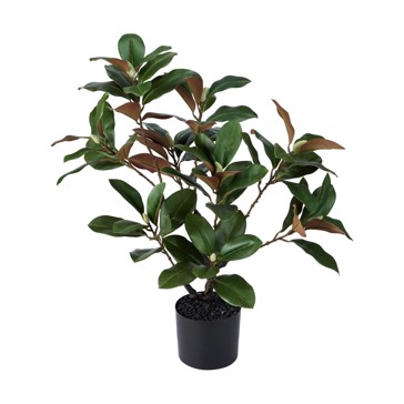 Artificial Magnolia Tree - Anko