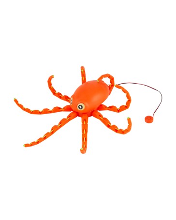 Octopus
