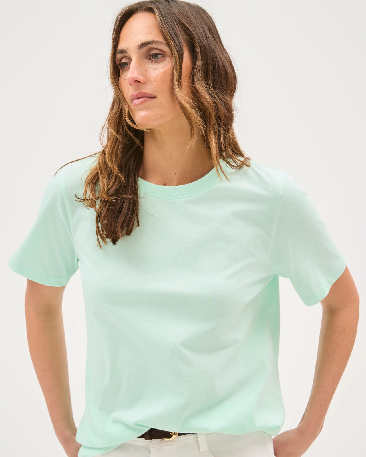 Australian Cotton Classic T-Shirt - Ice Bay 3 of 5