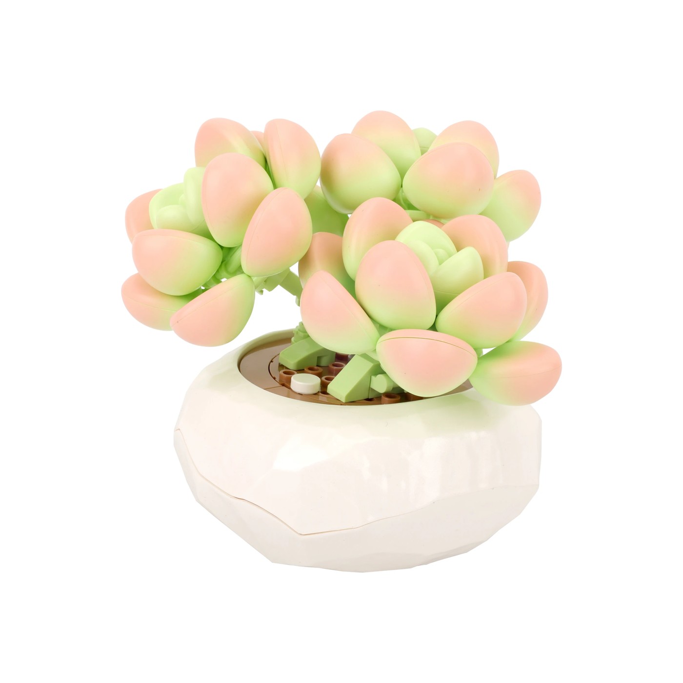 Mini Blocks Flower Series: Succulent Pot - Assorted 3 of 6