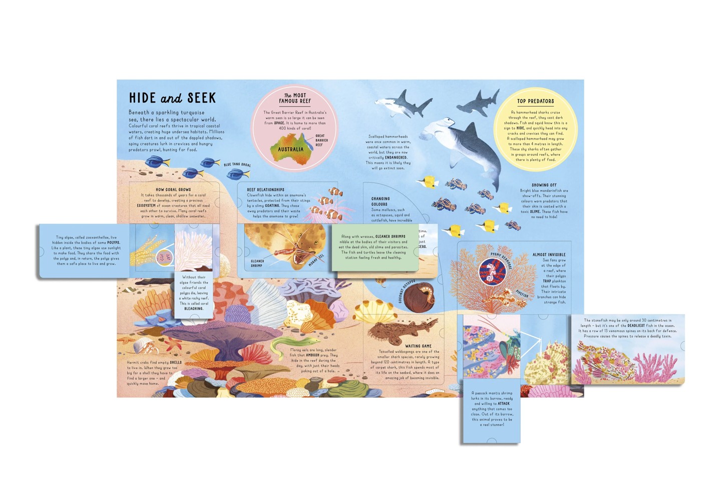 Lift-the-Flap Encyclopaedia of Oceans: 200 Flaps to Explore - Book 3 of 5