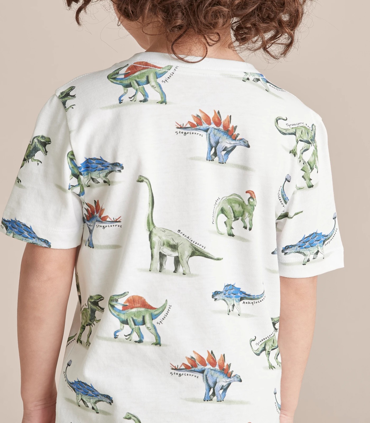 350_67083008_13+21D924