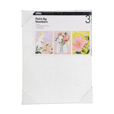 3 Pack Paint by Numbers, Floral - Anko