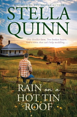 Rain On a Hot Tin Roof by Stella Quinn - Book