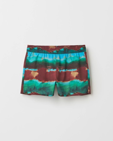 Resort Swim Boardshorts