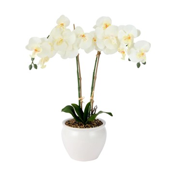 Artificial White Orchid in Vase - Anko