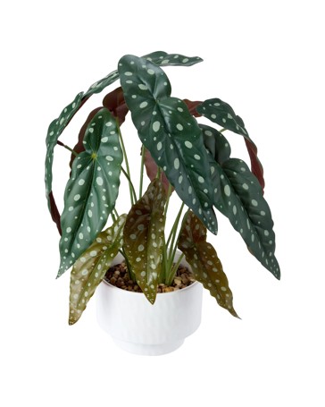 Anko Artificial Spotted Plant in Pot