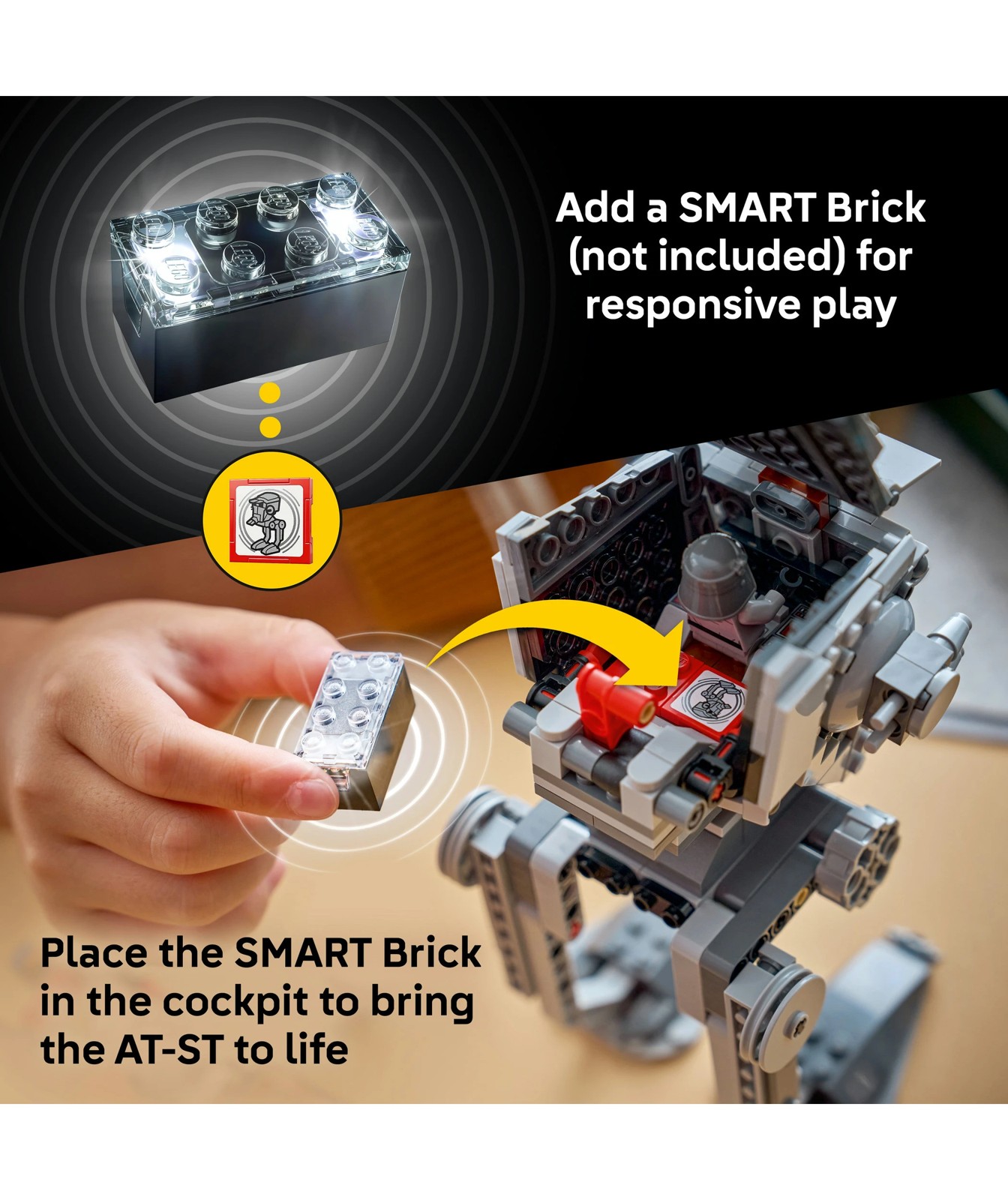 72352090-IMG-75424_05