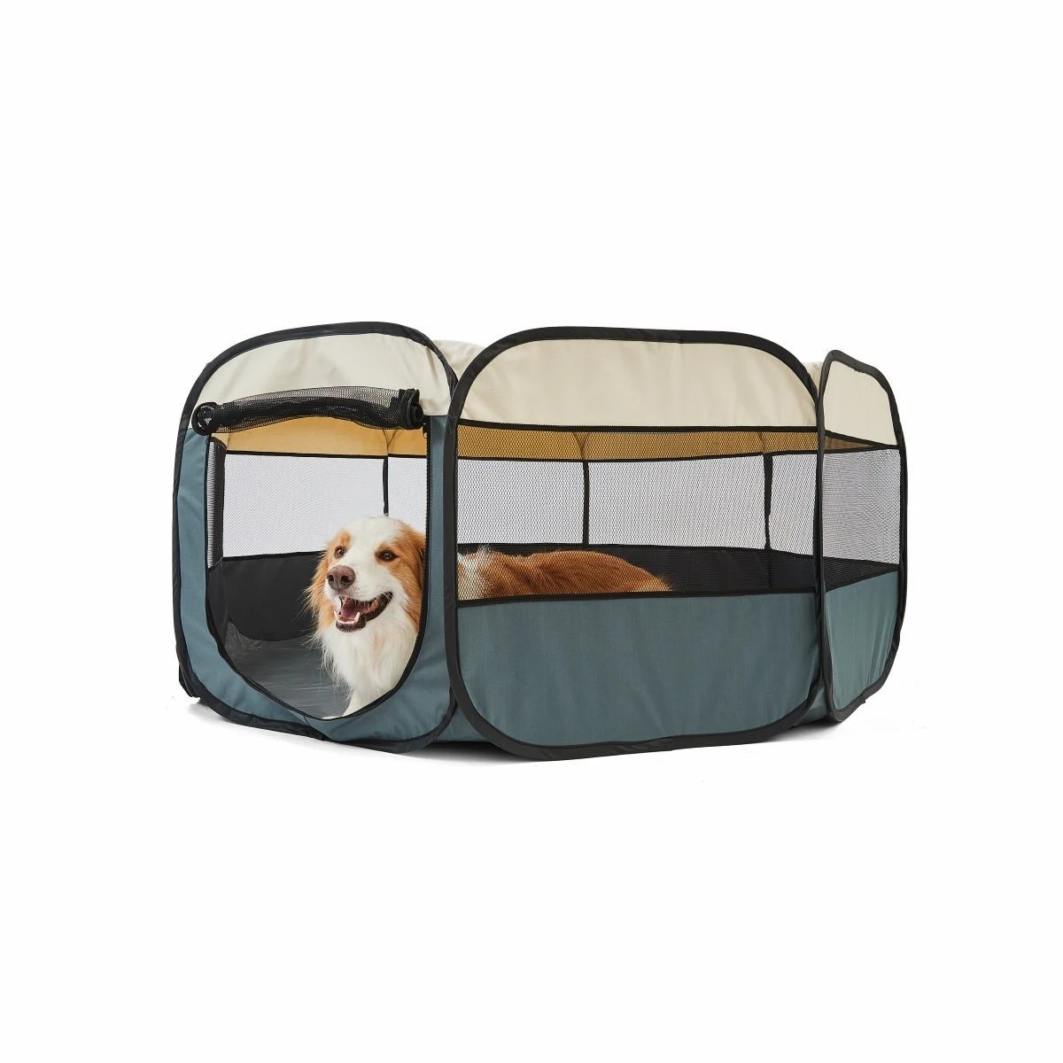 Kmart foldable hotsell pet playpen