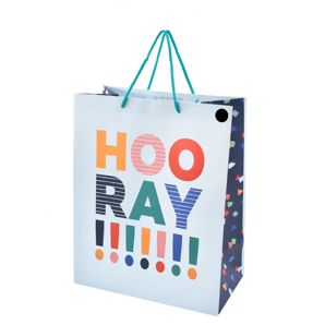 Hallmark Large Colourful Hoo Ray Gift Bag product image