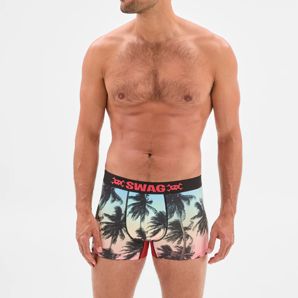 Beach Trunk - Swag product image