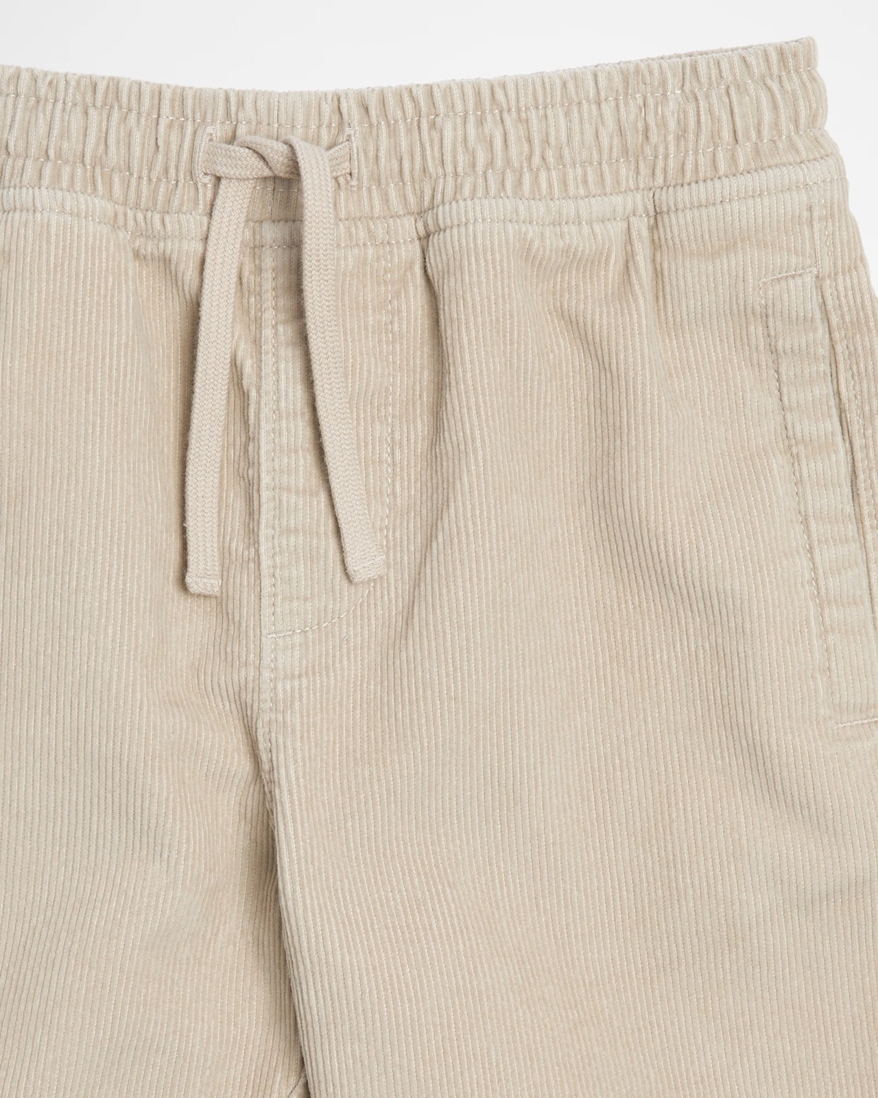 Corduroy Volley Shorts 2 of 3