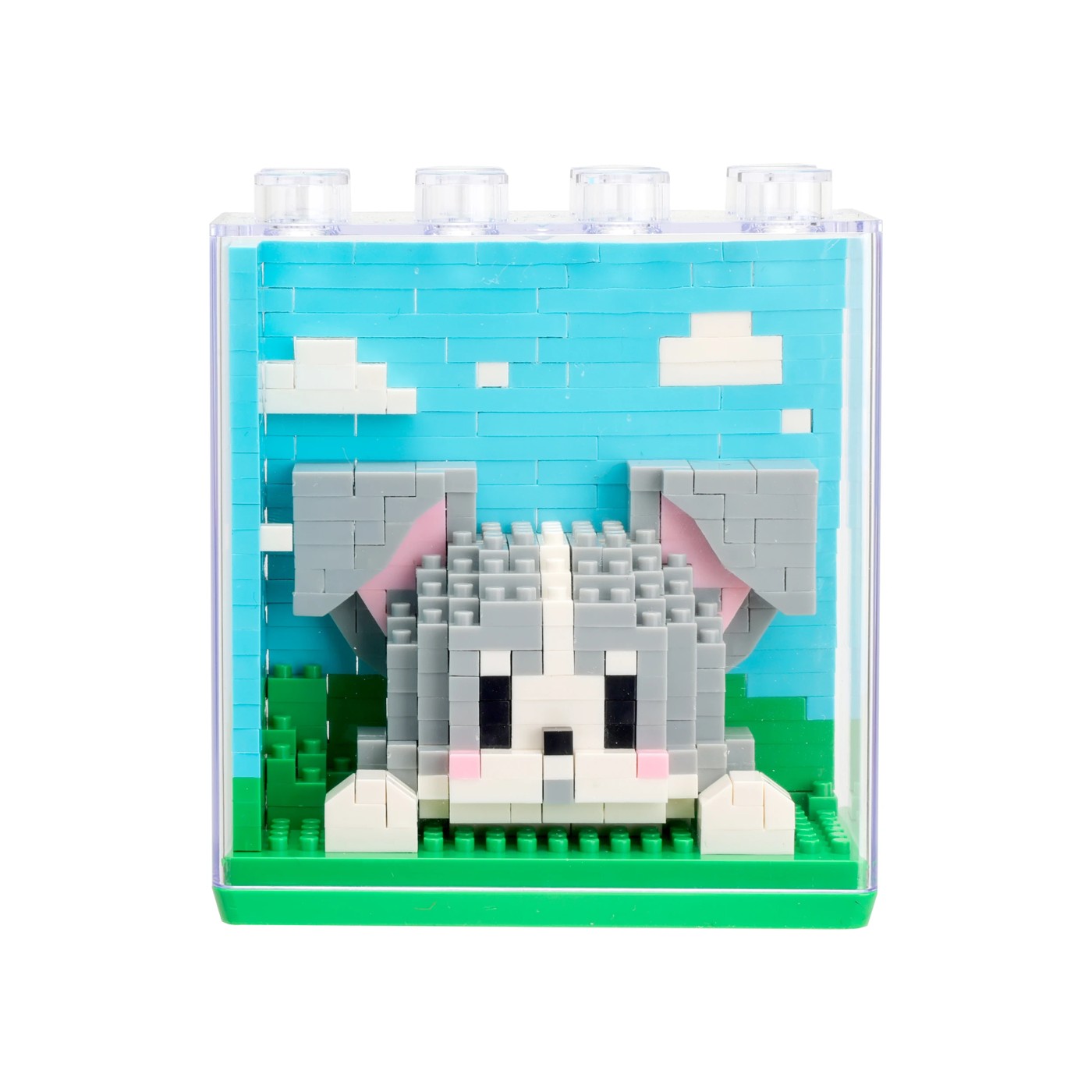 Mini Blocks Animals in Case - Assorted 3 of 5