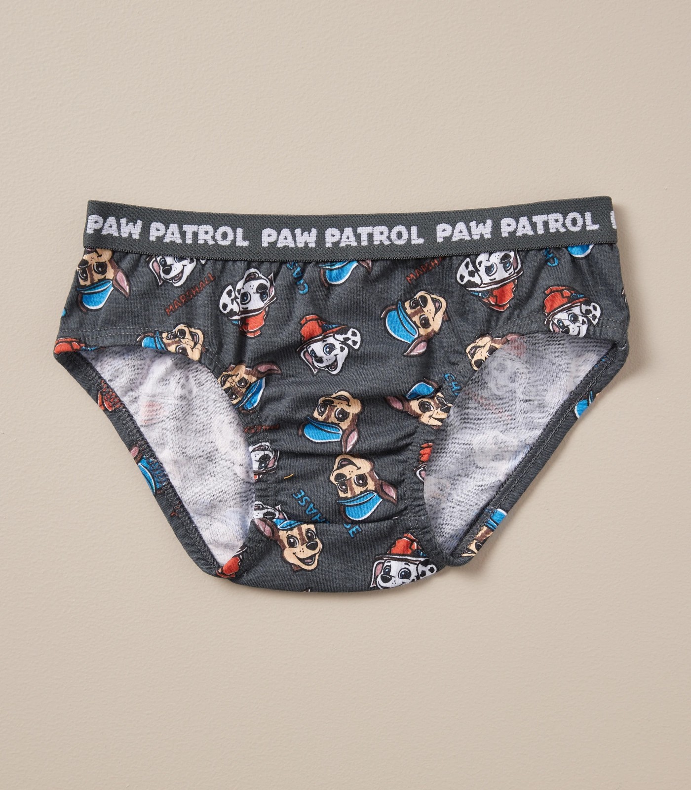 4 Pack Paw Patrol Briefs