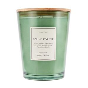 Soy Wax Blend Scented Candle, XL Spring Forest - Anko product image