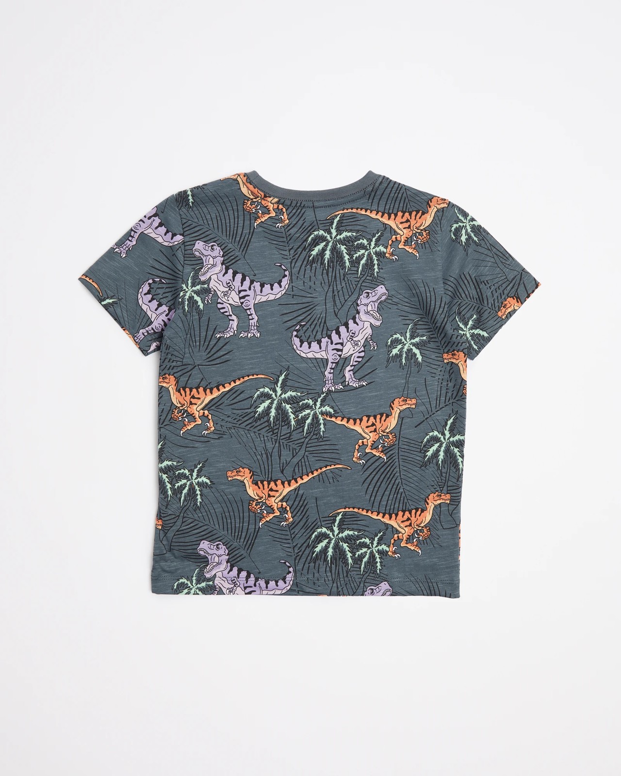 Dinosaur T-shirt 3 of 3