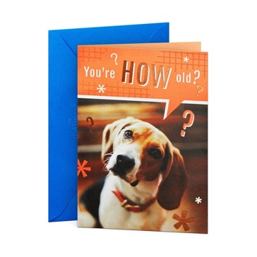 Hallmark Birthday Card - How Old?