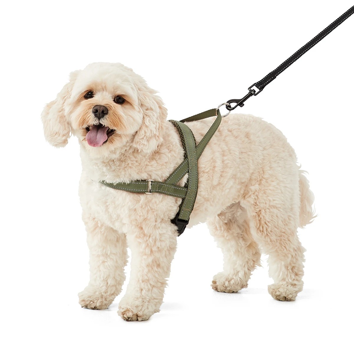 Dog Fast Clip Harness, Medium Anko Target Australia