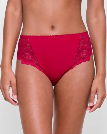 High Cut Lace Briefs