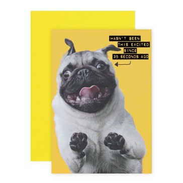 Connections from Hallmark Birthday Card - Excited Pug