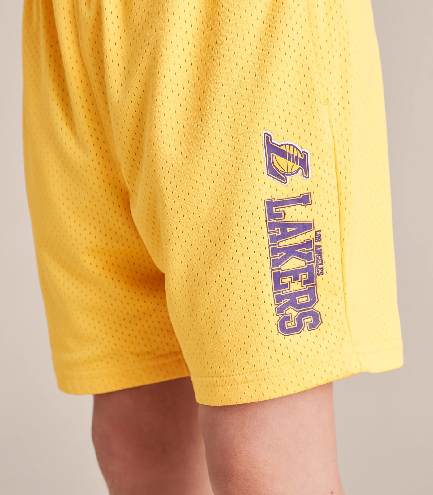 Los Angeles Lakers Mesh Shorts 8