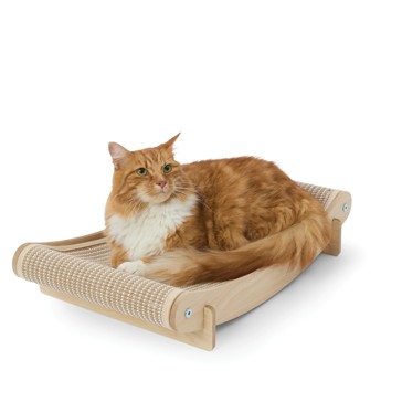 Anko Cat Scratcher Bed