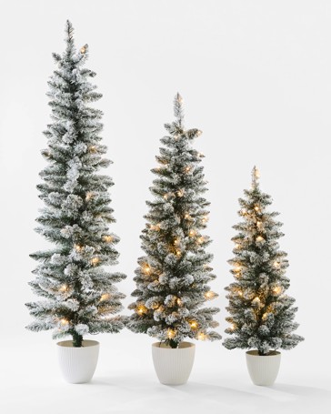 Anko Set of 3 Snowy Prelit Potted Christmas Trees