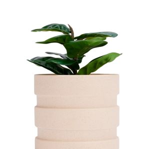 Anko Stepped Textured Ceramic Pot product image