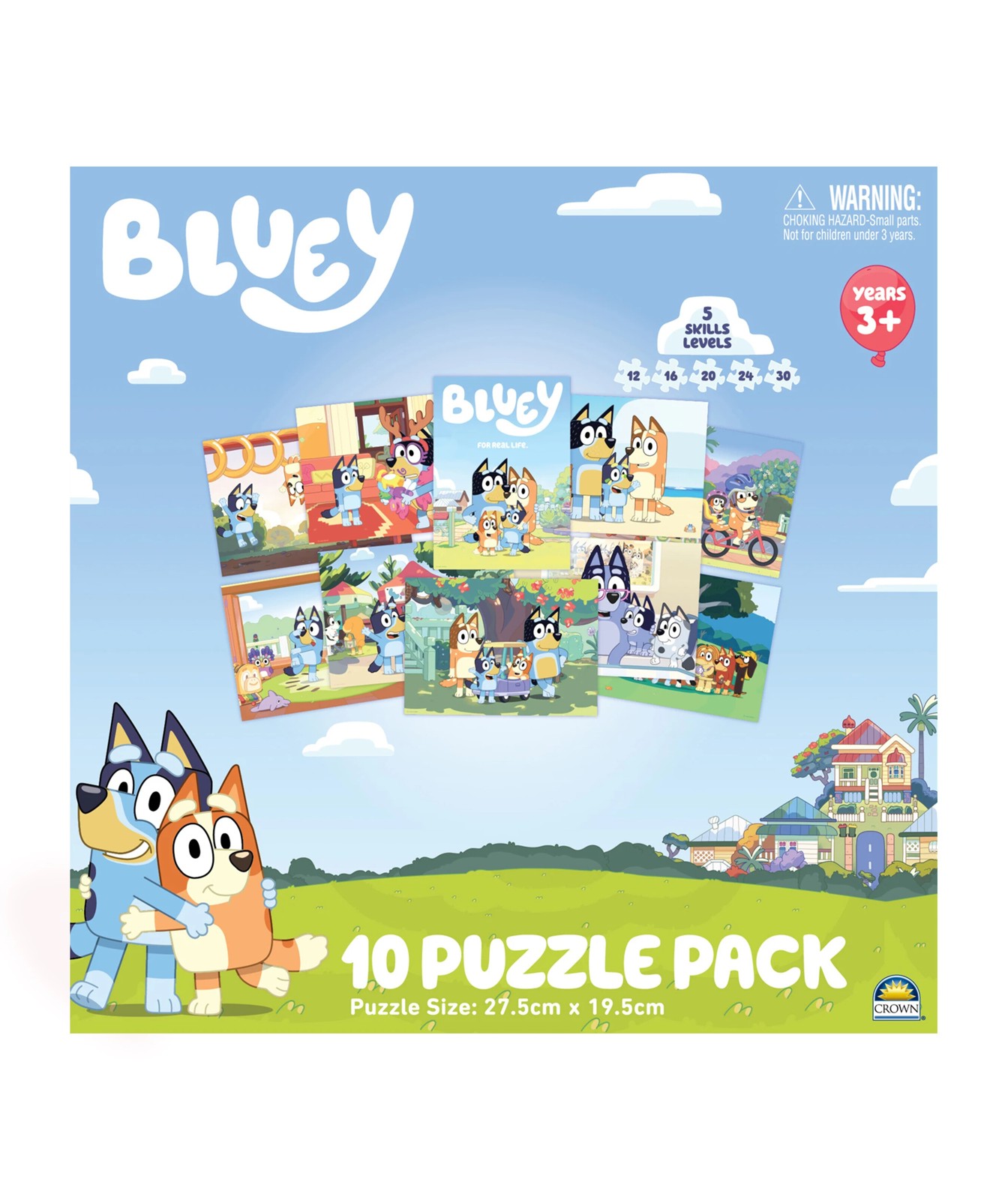 10 in 1 Licenses Jigsaw Puzzle - Assorted 3 of 5