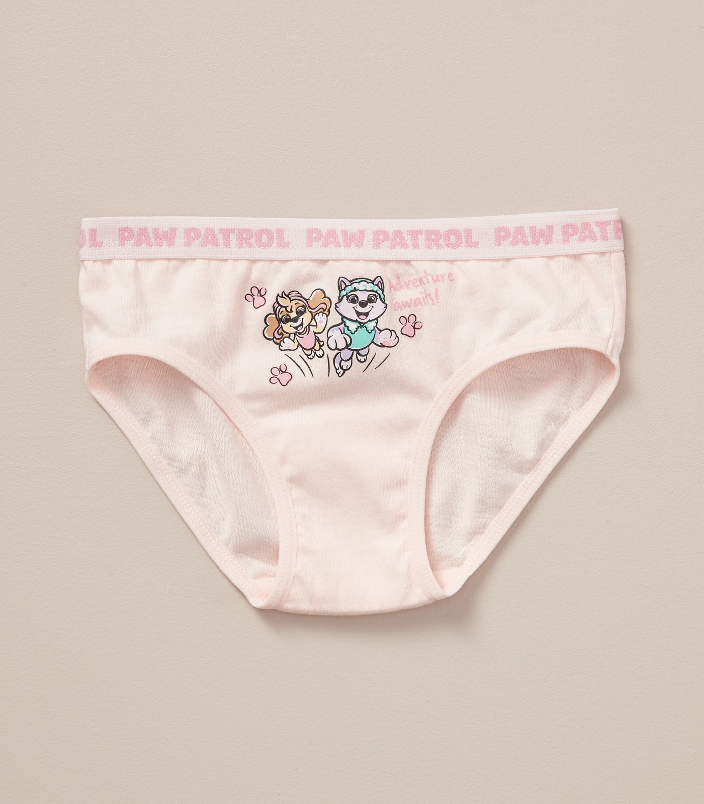 4 Pack Paw Patrol Briefs