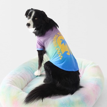 Pet T-shirt Summer, Small - Anko