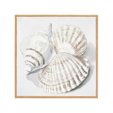 Shells Framed Canvas - Anko