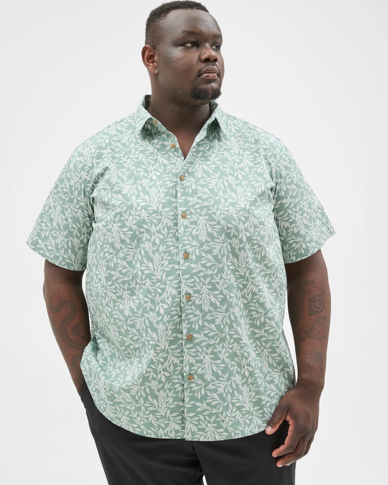 Plus Size Australian Cotton Short Sleeve Business Shirt - Green 3 of 6