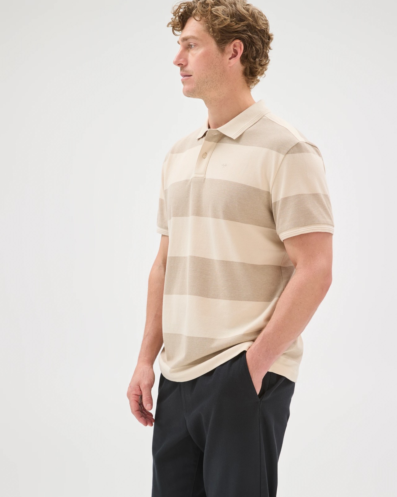 Australian Cotton Stripe Polo Top - Birch 5 of 6