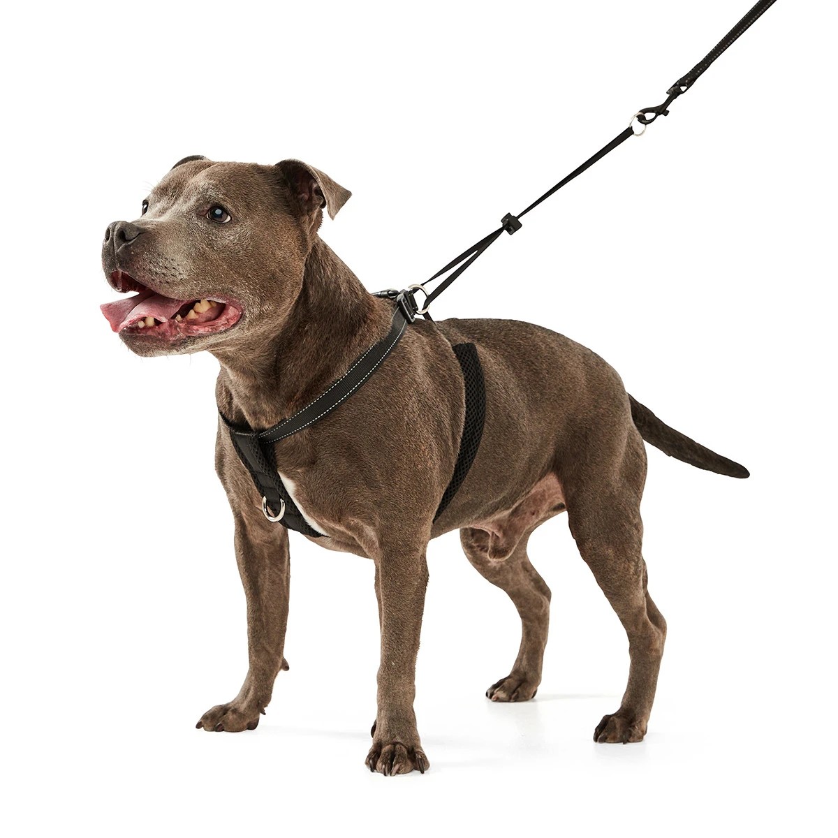 Anko dog 2025 training harness