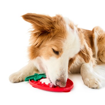 Novelty Pet Lick Mat, Assorted - Anko