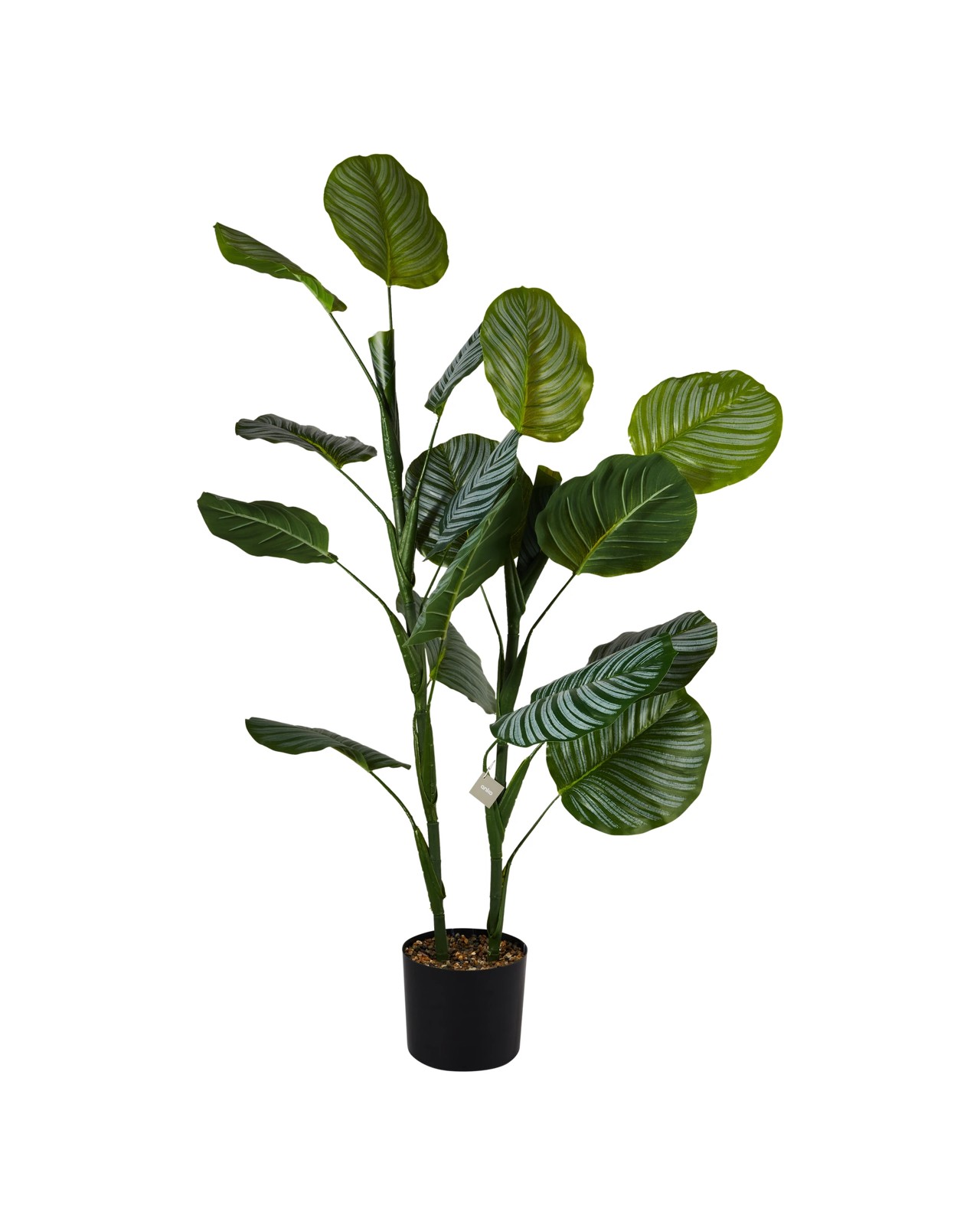 Anko Artificial Calathea Plant in Pot 3 of 3