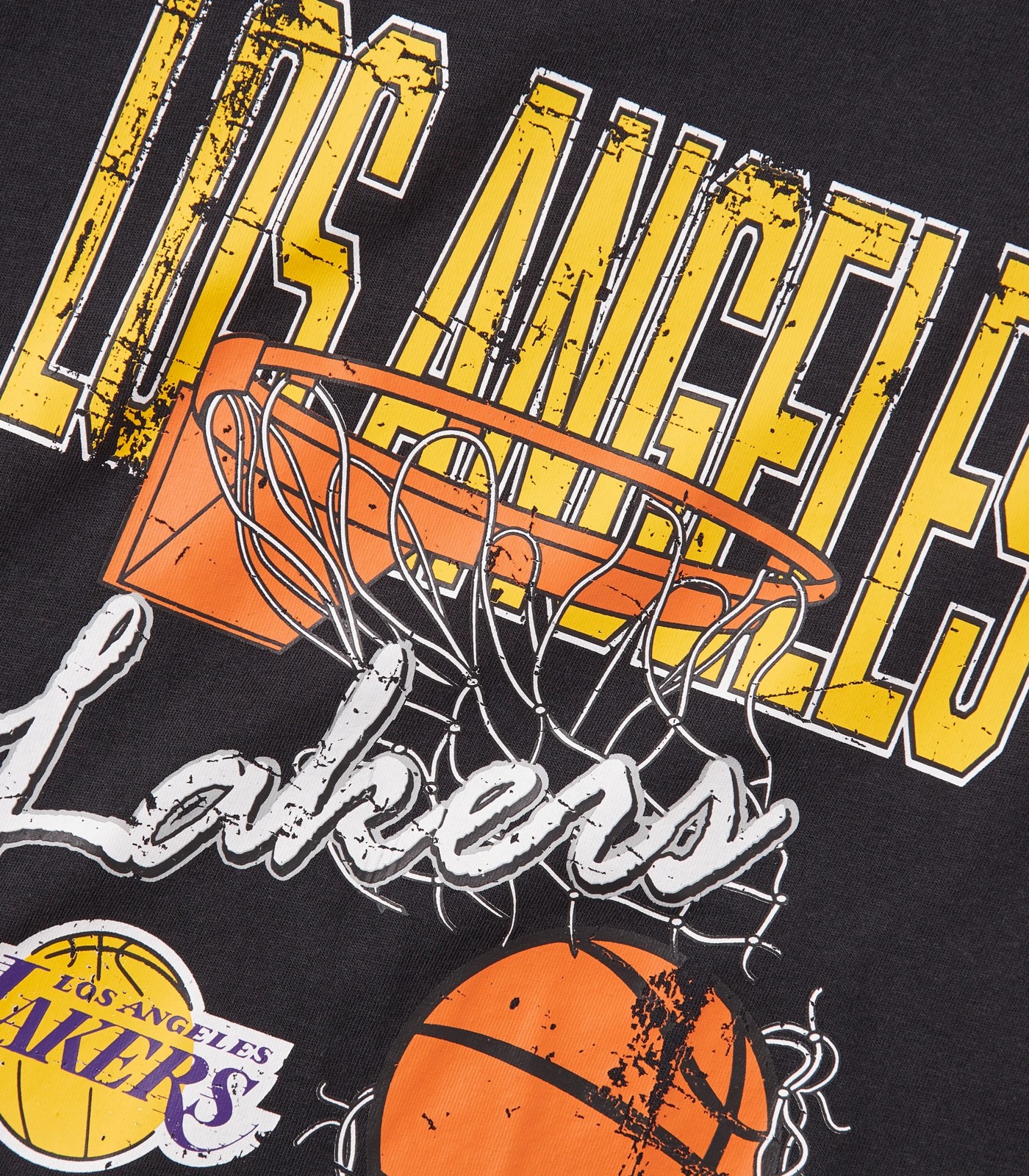 Nba Los Angeles Lakers Women's Short Sleeve Vintage Logo Tonal Crew T-shirt  : Target