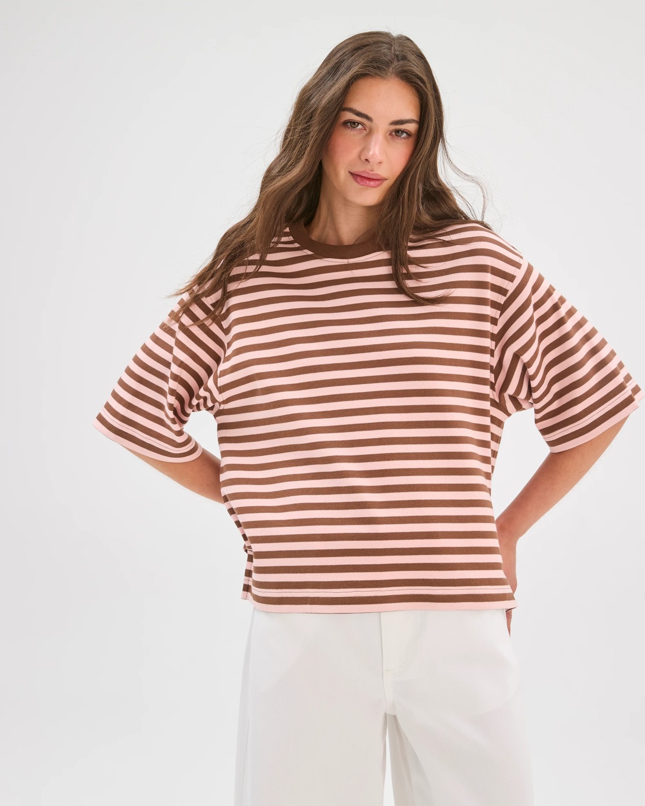 Petites Australian Cotton Heavyweight Boxy T-Shirt - Rose Water Stripe 5 of 6