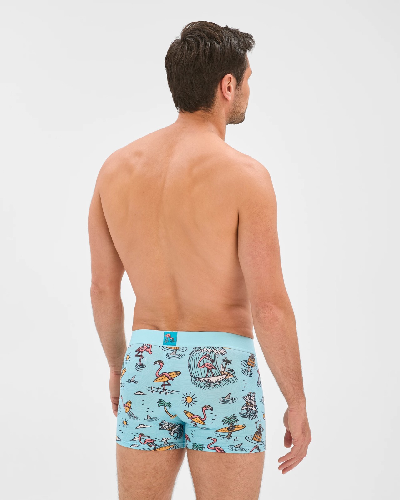 Swag Flamingo Trunks 2 of 4
