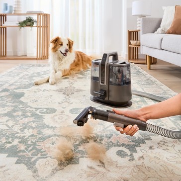 Cordless Spot Cleaner, Grey and Black - Anko