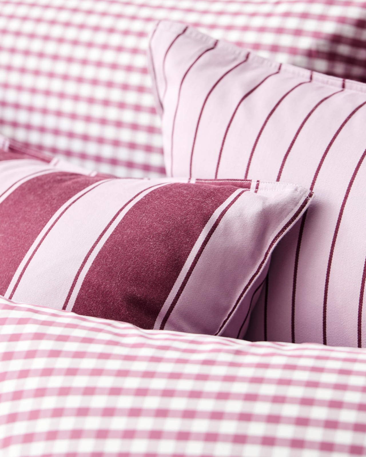 500_72184264_6+500T7218