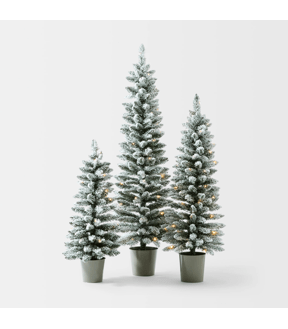 Set of 3 Snowy Prelit Potted Christmas Tree (O) - Anko
