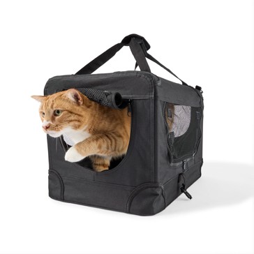 Pet Carrier Foldable, Small - Anko