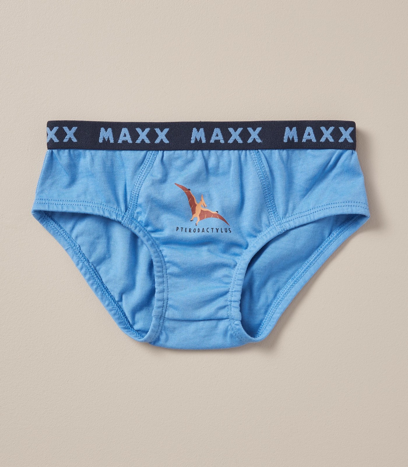 Maxx 5 Pack Hipster Briefs; Style: 155834
