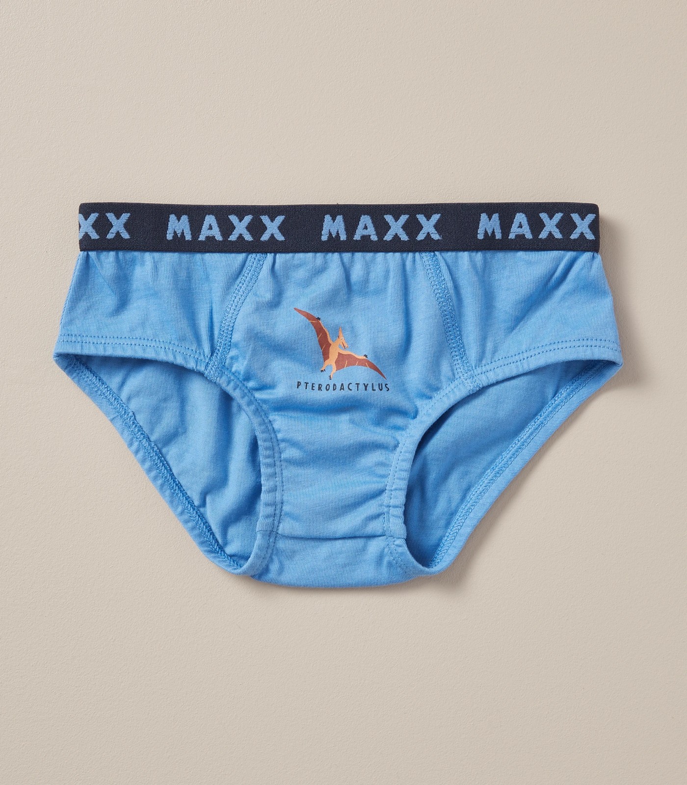 7 Pack Maxx Briefs